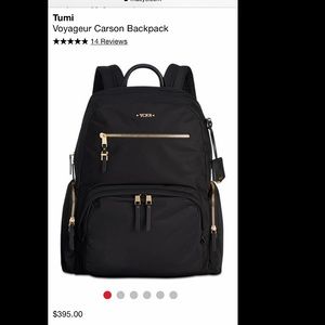 Tumi Backpack